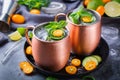 Moscow mule cocktail with lime, mint, cucumber and kumquat Royalty Free Stock Photo