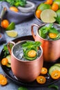 Moscow mule cocktail with lime, mint, cucumber and kumquat Royalty Free Stock Photo