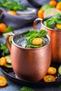 Moscow mule cocktail with lime, mint, cucumber and kumquat Royalty Free Stock Photo