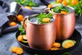 Moscow mule cocktail with lime, mint, cucumber and kumquat Royalty Free Stock Photo