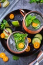 Moscow mule cocktail with lime, mint, cucumber and kumquat Royalty Free Stock Photo