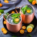 Moscow mule cocktail with lime, mint, cucumber and kumquat Royalty Free Stock Photo