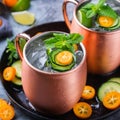 Moscow mule cocktail with lime, mint, cucumber and kumquat Royalty Free Stock Photo