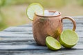 Moscow mule in copper cup with limes