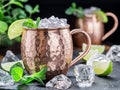 Moscow Mule. Frosty copper mug with lime and ice cubes Royalty Free Stock Photo