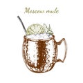 Moscow Mule Hand Drawn Drink Vector Illustration
