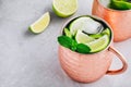 Moscow mule ice cold cocktail in copper cup with lime and and mint on gray stone background