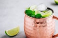 Moscow mule ice cold cocktail in copper cup with lime and and mint on gray stone background