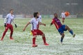 MOSCOW - NOVEMBER 6, 2016: Forward Carlos Strandberg 23 on the