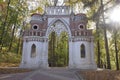 Ornate Grape gate in Tsaritsyno State Museum-Reserve of Moscow, Russia. Sunny autumn view.