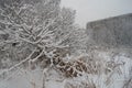 Moscow park after snow