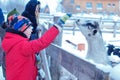 Moscow region / Russia 04 01 2019: The boy on the farm, petting a goat. The child gets acquainted with rural animals. People on a