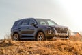 MOSCOW, RUSSIA - APRIL 10, 2021 Hyundai Palisade LX2 exterior view.