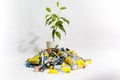 Moscow, Russia - April 20, 2019: A live flower in a pot grows from a pile of batteries. Problems of recycling batteries Ecology in