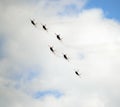 Performance of the Swifts aerobatic team on multi-purpose highly maneuverable MiG-29 fighters over the Myachkovo airfield