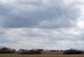 Performance of the Swifts aerobatic team on multi-purpose highly maneuverable MiG-29 fighters over the Myachkovo airfield