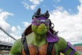 Portrait of teenage mutant ninja turtle Donatello figure in the park Muzeon in Moscow