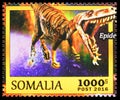 Epidondrosaurus, Somalia serie, circa 2016