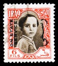 Postage stamp printed in Iraq shows King Faisal II 1935-1958, serie, 6 Iraqi fils, circa 1942