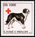 Bernese Mountain dog, Dogs and Red Cross emblem serie, circa 2003
