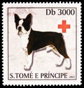 French bulldog, Dogs and Red Cross emblem serie, circa 2003