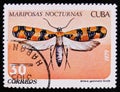 Attera gemmata Grote butterfly Mariposas nocturnas, Night moth series, circa 1979