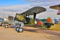 MOSCOW, RUSSIA - AUG 2015: Soviet biplane fighter I-15 Chaika pr