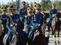 Demonstrative performance of the Kremlin school of riding on the Poklonnaya Hill of Moscow.