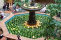 Moscow, Russia - August 24, 2020: GUM large fountain decorated for the harvest festival. Stone fountain filled with fresh