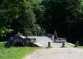 Humpbacked bridge in the park `Kuzminki-Lublino.` Royalty Free Stock Photo