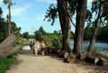 People walk along the shore of the pond in the natural-historical park `Kuzminki-Lublino`