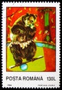 Balancing Brown Bear Ursus arctos, Circus serie, circa 1994