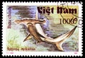 Postage stamp printed in Vietnam shows Great Hammerhead Sphyrna mokkaran, Sharks serie, circa 1991 Royalty Free Stock Photo