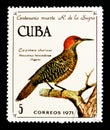 Cuban Flicker (Nesoceleus fernandinae), 100th ann. of death of R. de La Sagra serie, circa 1971