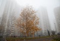 Moscow, Russia, autumn foggy day in the city quarter. Royalty Free Stock Photo