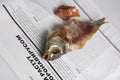 MOSCOW / RUSSIA - 24/05/2020 close up top view shot of a dressed dried salted vobla Caspian Roach fish, its separated head and