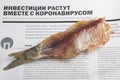 MOSCOW / RUSSIA - 24/05/2020 close up top view shot of a dressed headless dried salted vobla Caspian Roach fish lying on a