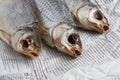 MOSCOW / RUSSIA - 13/05/2020 close up top view shot of three dried salted vobla Caspian Roach fish lying on a Russian newspaper