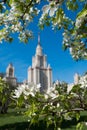 MOSCOW, RUSSIA - Close up view of the main building of Moscow State University, framed by white flowers of apple