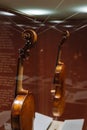 Violin, Antonio Stradivary, Cremona, Italy, 1736