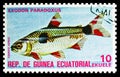 Postage stamp printed in Equatorial Guinea shows Bucktooth Tetra Exodon paradoxus, Fishes I exotic serie, circa 1975 Royalty Free Stock Photo