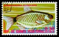 Postage stamp printed in Equatorial Guinea shows Glass Tetra Moenkhausia oligolepis, Fishes I exotic serie, circa 1975