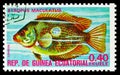 Postage stamp printed in Equatorial Guinea shows Orange Chromide Etroplus maculatus, Fishes I exotic serie, circa 1975