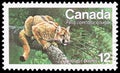 Postage stamp printed in Canada shows Puma Felis concolor couguar, Endangered Wildlife 1st series serie, circa 1977