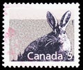 Snowshoe Hare Lepus americanus, Definitives 1988-93: Canadian Mammals serie, circa 1988 Royalty Free Stock Photo