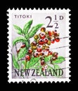 Titoki, New Zealand Oak (Alectryon excelsus), Pictorial Definitives serie, circa 1961