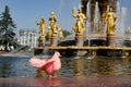 Pink Dove at Fountain Friendship of Nations at VDNKh Royalty Free Stock Photo