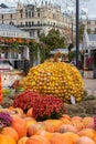 12-10-2019, Moscow, Russia. Golden Autumn Festival. A large decorative pumpkin of small yellow pumpkins. Vegetable Harvesting