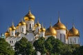 Golden Cupolas of Moscow Kremlin Royalty Free Stock Photo