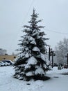 Moscow, Russia - January 11, 2020: Decorated Christmas tree in residential area, covered with snow